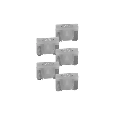 Nippon Labs-ATMLPM25A
