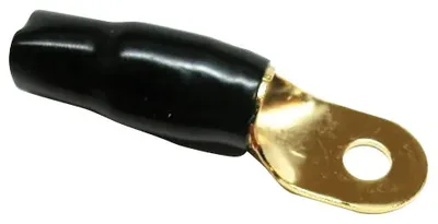Xscorpion-RT0B