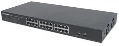 Intellinet-561044