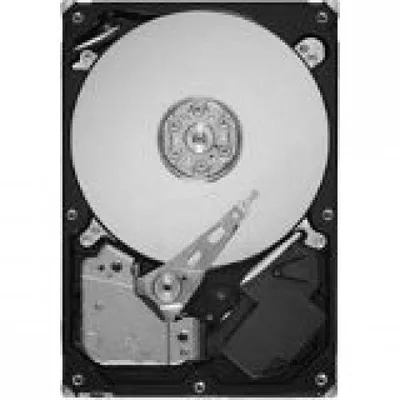 SEAGATE-ST31000340NS