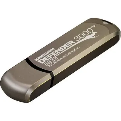 KANGURU-KDF3000-256G