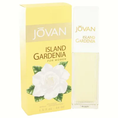 Jovan-467298