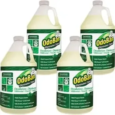 CLEAN CONTROL CORPORATION-ODO 911062G4CT