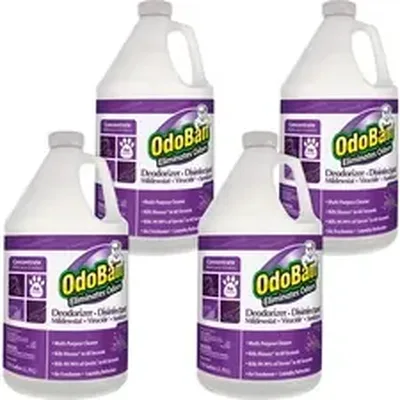 CLEAN CONTROL CORPORATION-ODO 911162G4CT