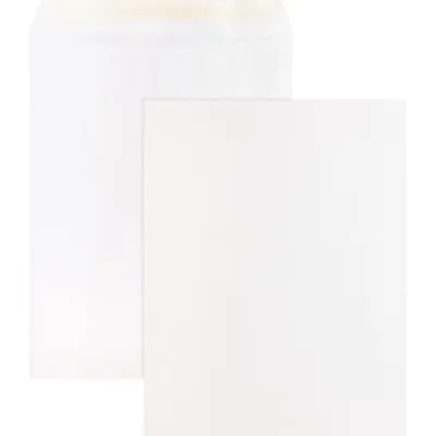 Business Source-BSN 65451