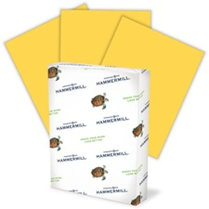 INTERNATIONAL PAPER-HAM 103168CT