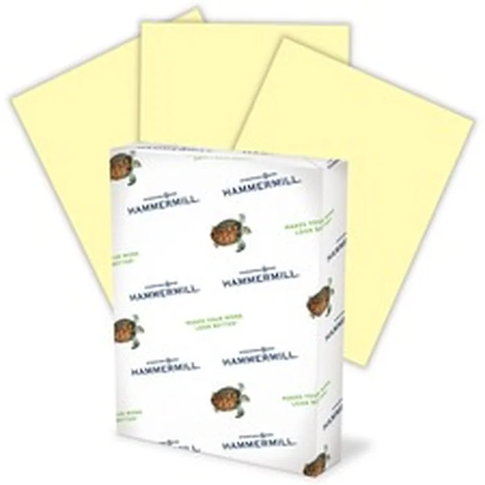 INTERNATIONAL PAPER-HAM 103341CT