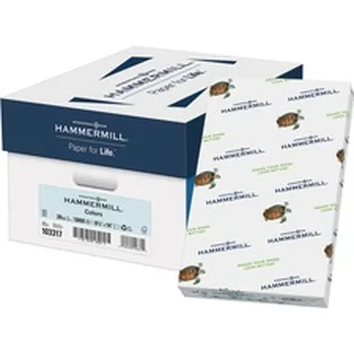 INTERNATIONAL PAPER-HAM 103317CT
