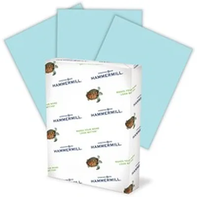 INTERNATIONAL PAPER-HAM 103309CT
