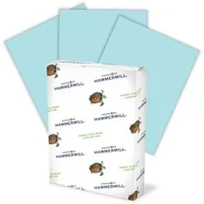 INTERNATIONAL PAPER-HAM 103309CT
