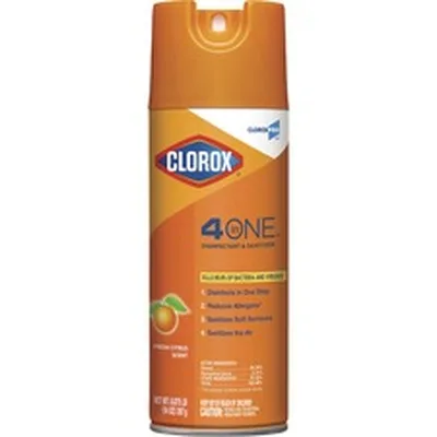CLOROX-CLO 31043CT