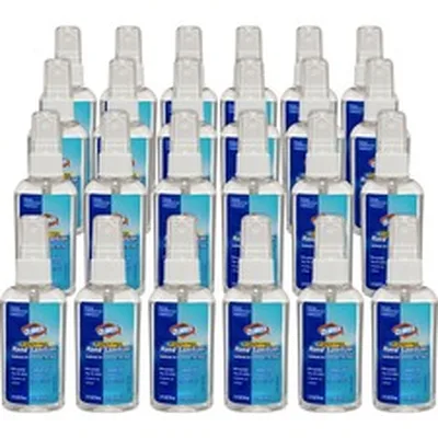 CLOROX-CLO 02174CT