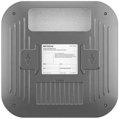 NETGEAR-WAX620-100NAS