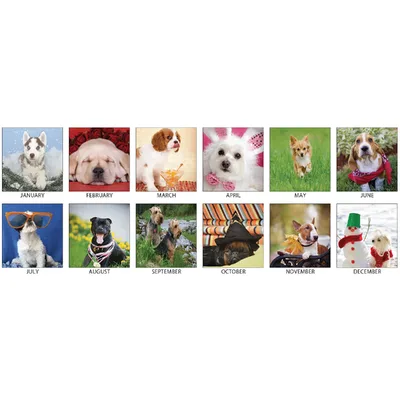 COMPATIBLES-EPSS041727