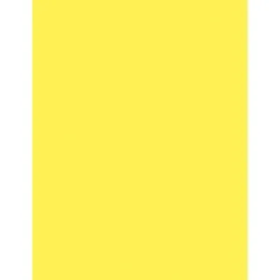 PACON CORPORATION-PAC 102200