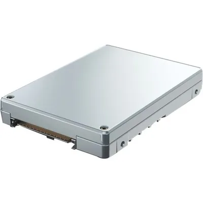 SOLIDIGM-SSDPF2KX019T1M1