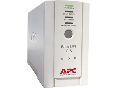 APC - Schneider Electric-BK650EI