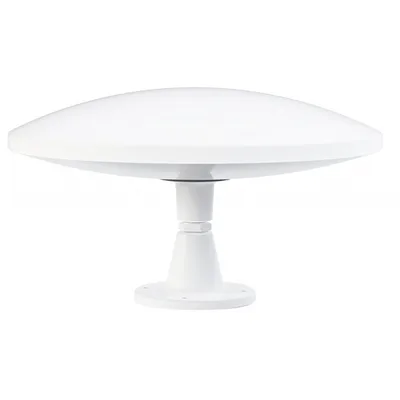 Majestic Global USA-MJUFOXL