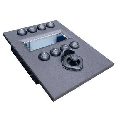 IRIS-IRIS595