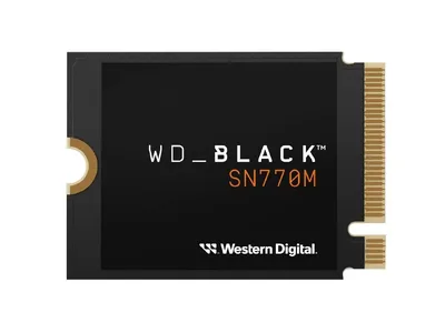 Western Digital-WDS100T3X0G