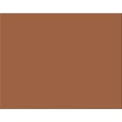 DIXON TICONDEROGA CO.-PAC 54691