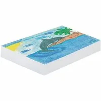 DIXON TICONDEROGA CO.-PAC 3411