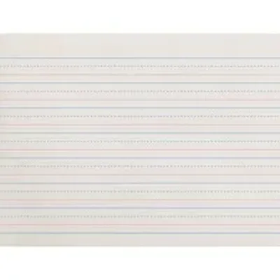 DIXON TICONDEROGA CO.-PAC ZP2611