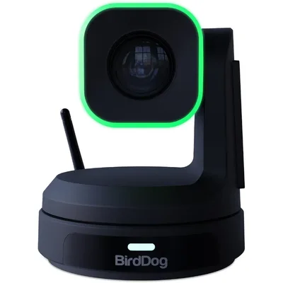 BirdDog-BDPX1B
