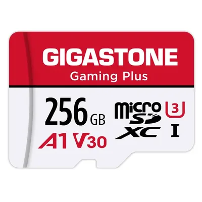 GIGASTONE-GS-2IN1-A1V30GAME-256GB-R