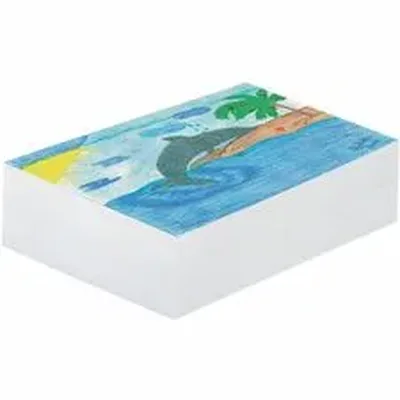 DIXON TICONDEROGA CO.-PAC 3407