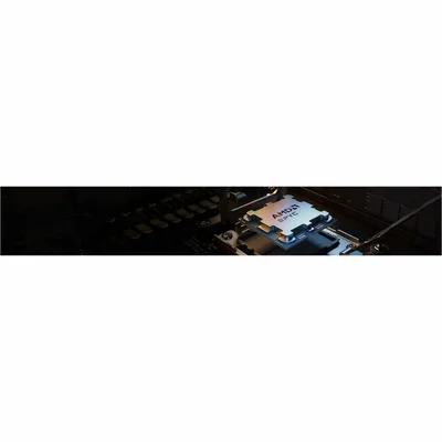 AMD-100-100001478WOF