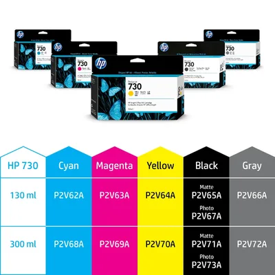 HP-HEWP2V65A