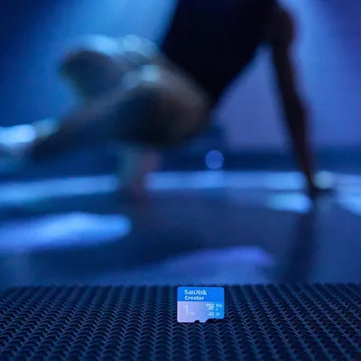 Western Digital-SDSQXAV-256G-GN6MS