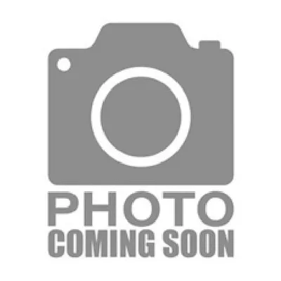 ASUS-RS300-E12-RS4-1G4
