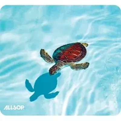 Allsop-ASP 31425