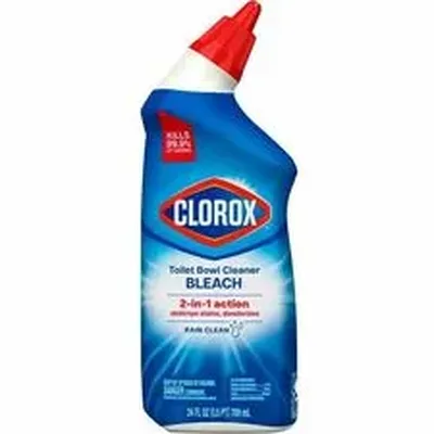 CLOROX-CLO 30924