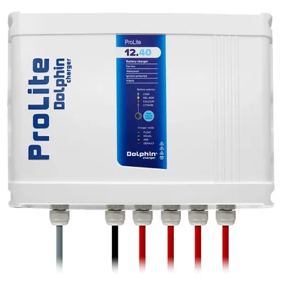 Dolphin Charger-99240