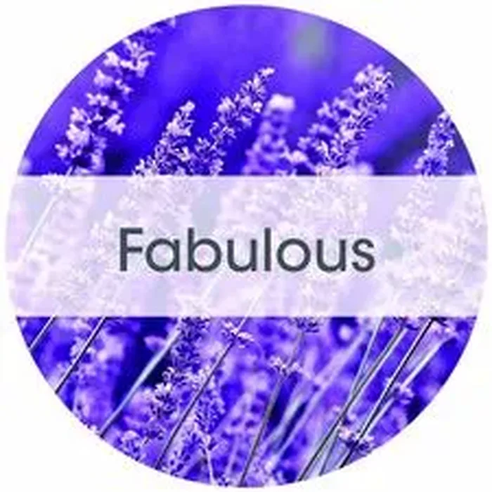 FRESH PRODUCTS-FRS TWDS11CT