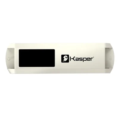 GOST-GOST-KASPER