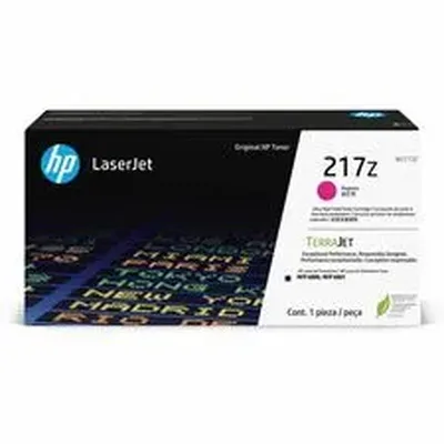 HP-HEW W2173Z