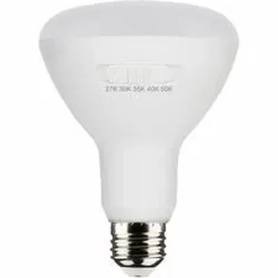 Satco Products Inc-SDN S11780