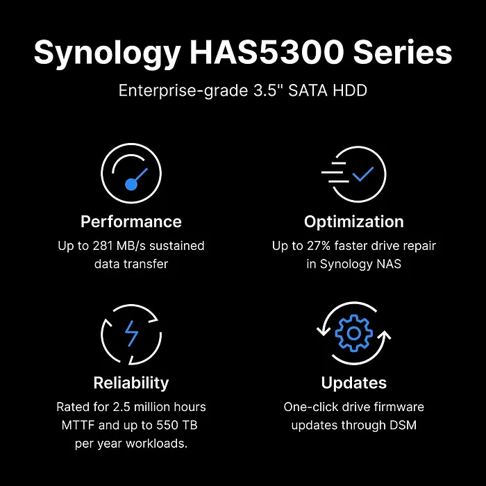 Synology-HAS5310-12T