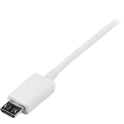 STARTECH-USBPAUB2MW
