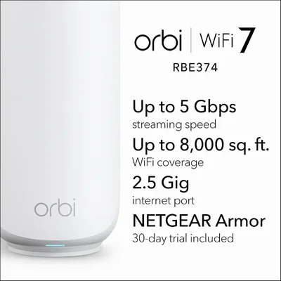 NETGEAR-RBE374-100NAS
