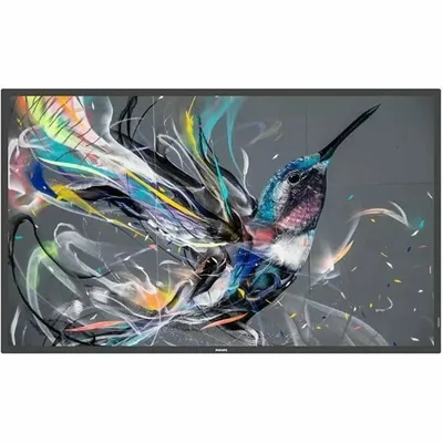 Philips-98BDL3650Q/00