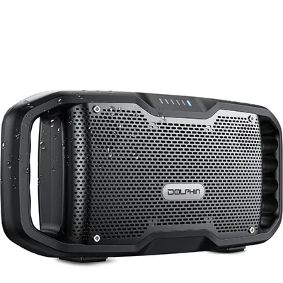 DOLPHIN AUDIO-S100