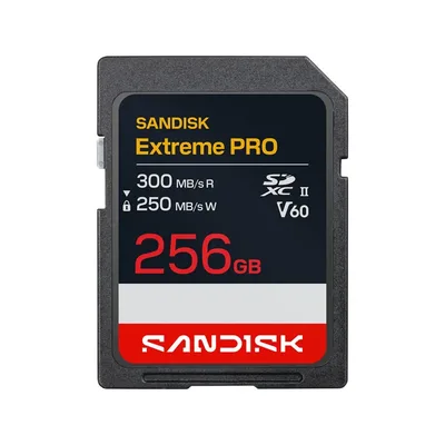 Western Digital-SDSDXEM-256G-GN4IN