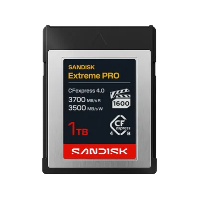 Western Digital-SDCFEB-1T00-GN4NN