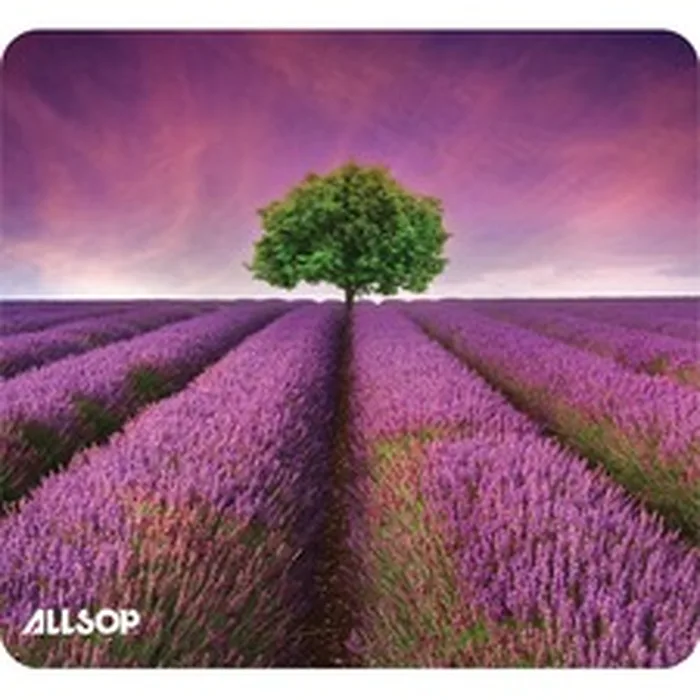 Allsop-31422