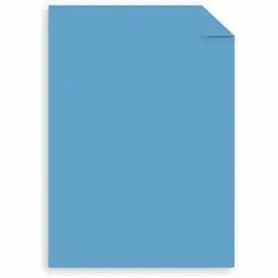 NEENAH PAPER-SOU 41SM